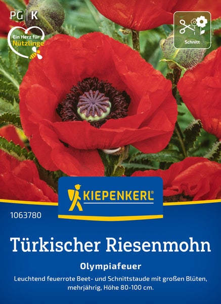 Saatgut Kiepenkerl Türkischer Riesenmohn Olympiafeuer mehrjährige Beetstaude Schnittblume 80 bis 100 Zentimeter hoch