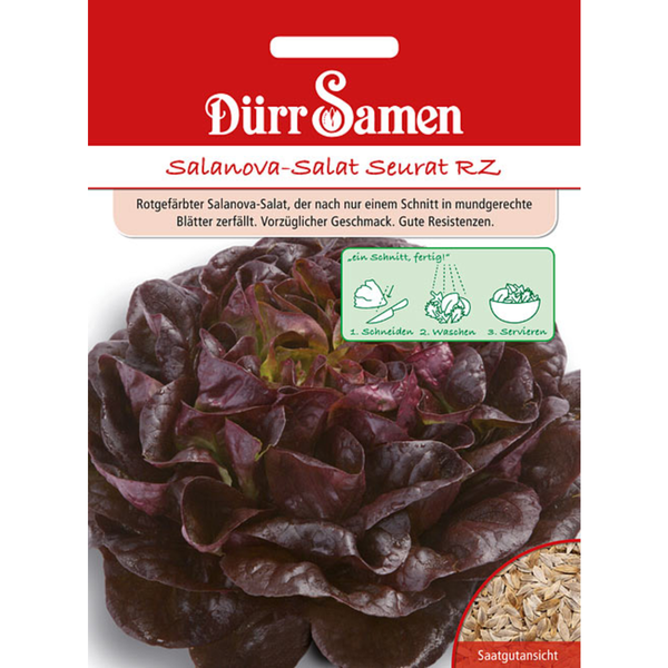 Gelbe Irisblüten im Garten