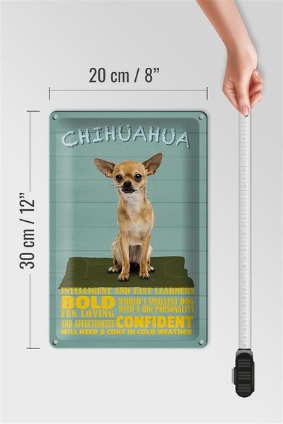 Blechschild Spruch 20x30cm Chihuahua Hund bold confident