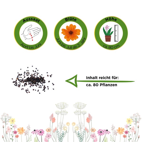 Samen-Informationen: Aussaat April bis Juni, Blüte Juni bis Juli ab dem zweiten Jahr, Höhe circa 80 Zentimeter. Inhalt für circa 80 Pflanzen.
