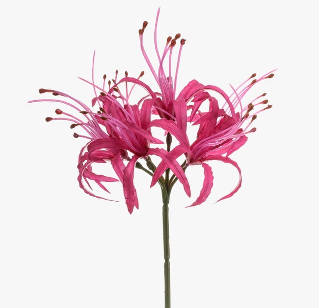 Künstliche Nerine mit rosa Blütenblättern und langen Staubfäden auf grünem Stiel.