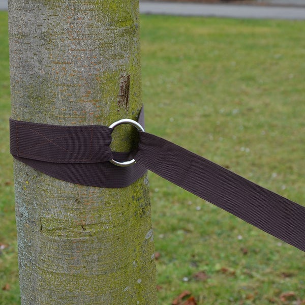 Brauner Baumschutz für Slackline, Textilgurt mit Metallring um einen Baumstamm gewickelt.