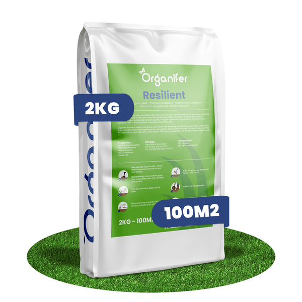 Organifer Resilient Rasensamen, 2 Kilogramm Sack für circa 100 Quadratmeter, hochwertige Rasenmischung zur Neuanlage und Nachsaat.