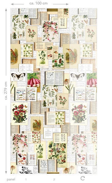 Fototapete mit Pflanzen-, Blumen-, Vogel- und Schmetterlingsmotiven, circa 100 cm breit und 279 cm hoch