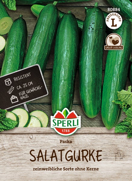 Saatgut für Salatgurke Paska von Sperli, resistent, für Gewächshausanbau geeignet, circa 25 Zentimeter lang, kernlose Sorte.