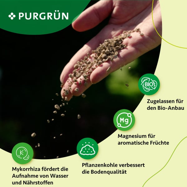Purgrün Bio-Aprikosenbaum-Dünger 1 kg