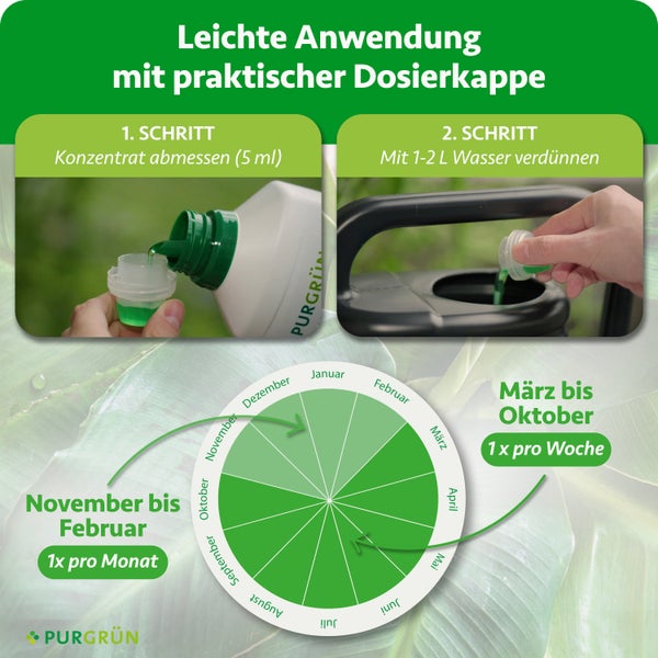 Anwendung Purgrün Dünger: 5 Milliliter abmessen, mit 1 bis 2 Liter Wasser mischen. Kalender zeigt saisonale Dosierungshäufigkeit. Purgrün Logo.