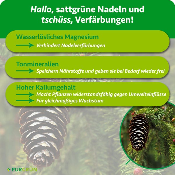 Infografik für Purgrün Pflanzendünger zeigt Vorteile von Magnesium, Tonmineralien und Kalium für gesunde Nadeln und Wachstum. Purgrün Logo.