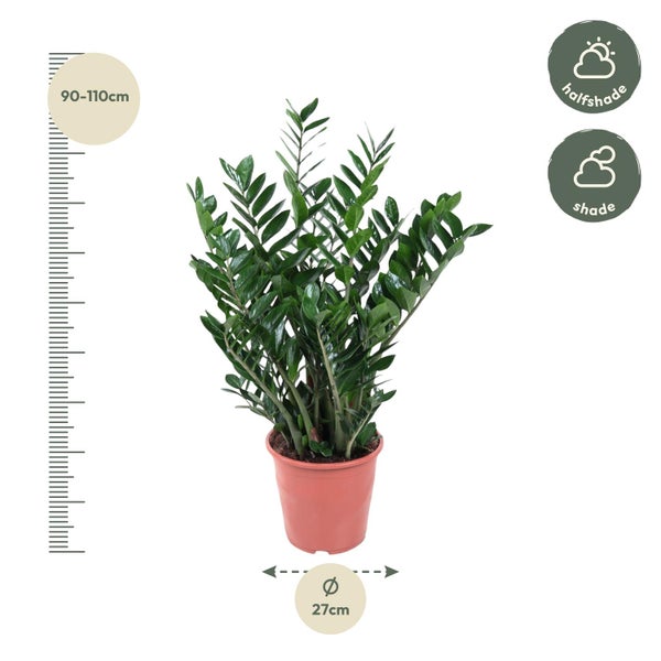 lampe für zimmerpflanzen LED Pflanzenlampe E27, 18 W, Vollspektrum Grow Light, 322 μmol/m²/s bei 10  cm, für Keimung, Wachstum & Zimmerpflanzen, 1200 K (Warmweiß) LED  Pflanzenlampe E27, 18 W, 580 lm, warmweiß – fördert Keimung main image 0
