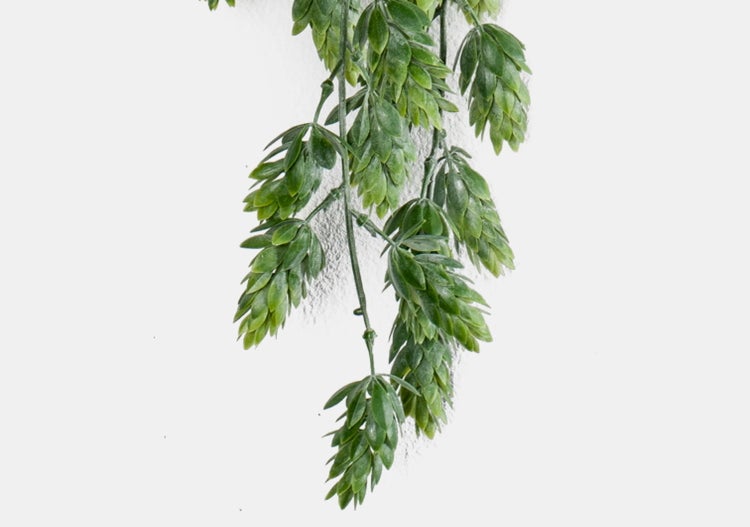 Künstliche Hängepflanze mit kleinen, spitzen, grünen Blättern.