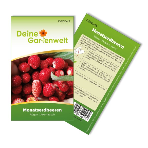 Monatserdbeeren Rügen Samen von Deine Gartenwelt