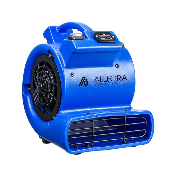 Blauer Bautrockner von Allegra