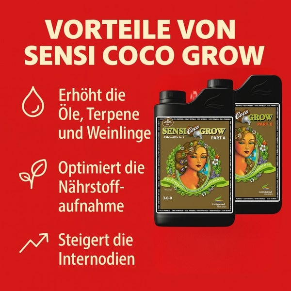 Zwei Flaschen Sensi Coco Grow Dünger der Marke Advanced Nutrients