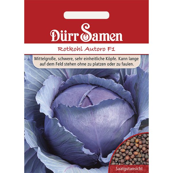 Rotkohl Autoro F1 Saatgut von Dürr Samen