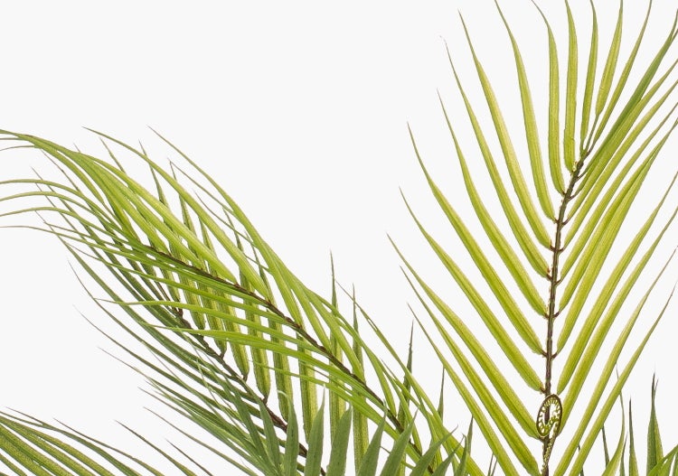 Künstliche Palme mit grünen Blattwedeln und braunem Stamm.