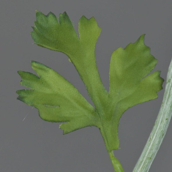 Künstliche Ranunkel mit gelber Blüte und grünem Stiel mit Blättern.