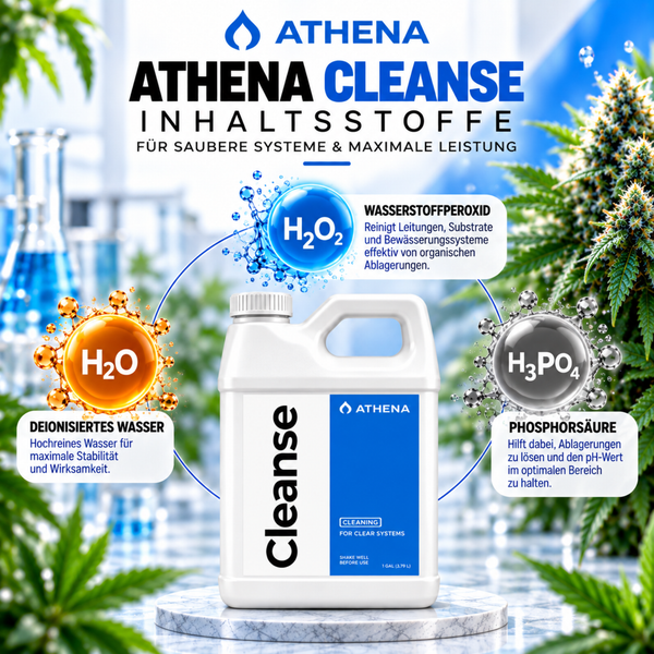 Infografik zu Athena Cleanse Reinigungsmittel mit Erläuterung der Inhaltsstoffe Wasserstoffperoxid, deionisiertes Wasser und Phosphorsäure.