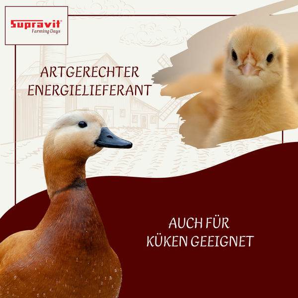 Produktbild mit Ente, Küken und der Aufschrift artgerechter Energielieferant und auch für Küken geeignet