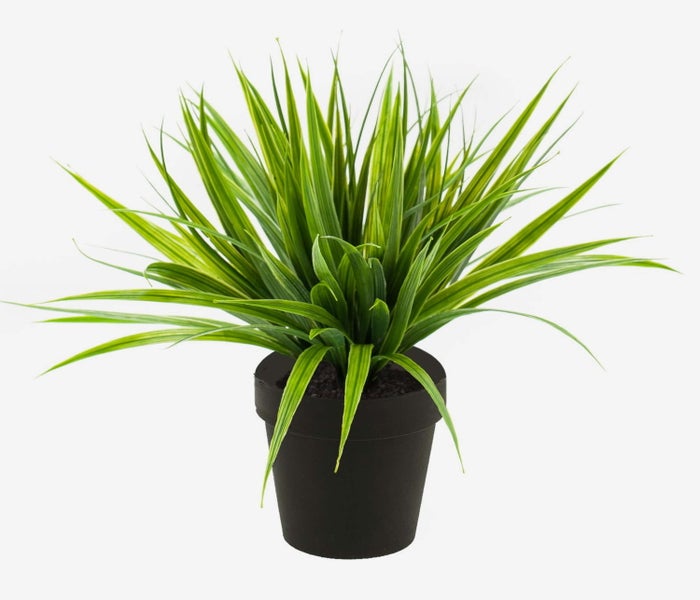 Künstliche Graspflanze mit grün gestreiften Blättern in einem schwarzen Topf.