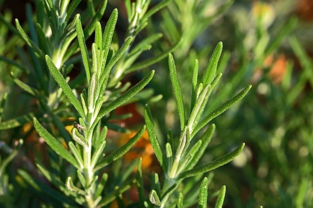 LED-Einbauleuchten in Wohnräumen mit Dimmfunktion