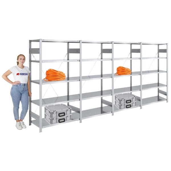 PROREGAL Schwerlastregal Silver Mamba Made In Germany  HxBxT 200 x 400 x 50 cm 5 Ebenen Je 150 kg Fachlast  Verzinkt