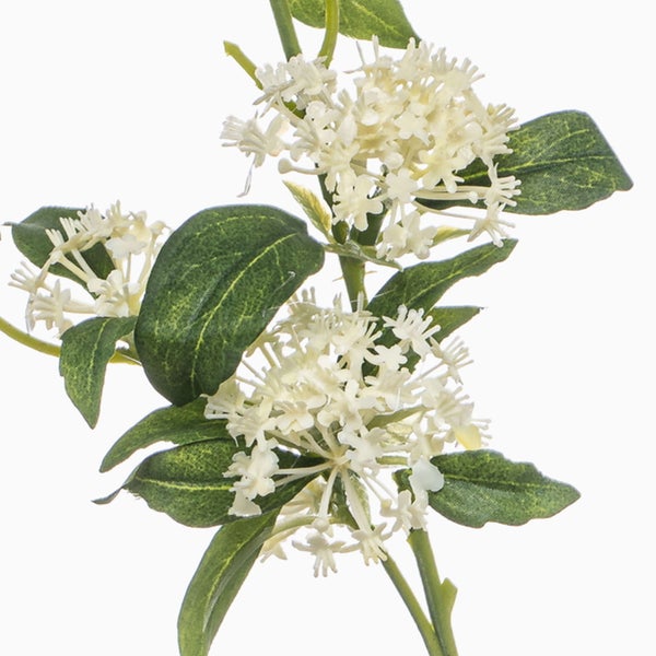 Künstlicher Efeu zum Hängen mit grün-weißen Blättern.