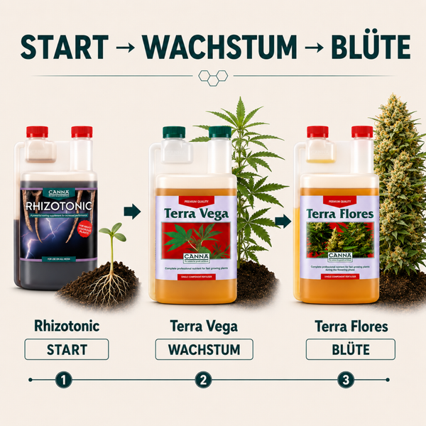 Canna Pflanzennahrung Set bestehend aus Terra Flores, Terra Vega und Rhizotonic mit Messbecher und Pipette für Wachstum und Blüte