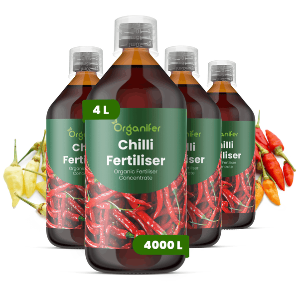 Organifer Bio-Chili-Dünger Konzentrat, vier Flaschen mit insgesamt 4 Liter Inhalt für bis zu 4000 Liter Düngelösung, Organifer Logo.