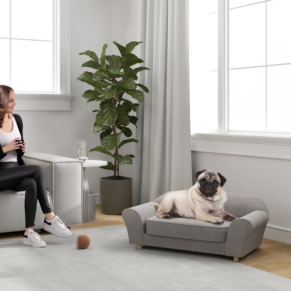 PawHut Hundesofa für kleine Hunde, Hundebett mit abnehmbarem und waschbarem Kissen, Haustiersofa mit Nietendekoration, 10 kg, Grau