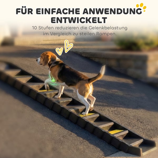 Hunderampe mit 10 Stufen zur Entlastung der Gelenke, ein Beagle läuft die schwarze Kunststofframpe hinauf.