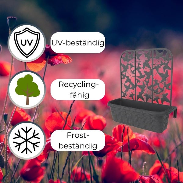 2x Balkonkasten mit Spalier für Kletterpflanzen Blumenkasten Geländerkasten 60 Rattan Optik Balkon Geländer Kasten Halterung Wasserspeicher Anthrazit