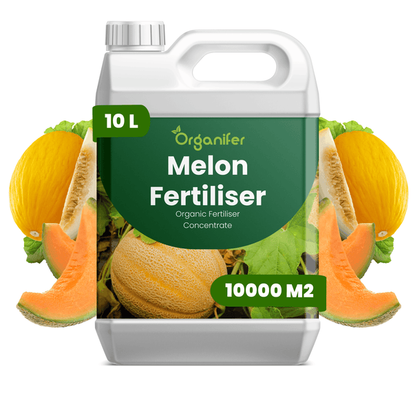 Organifer Melonendünger, biologisches Düngerkonzentrat, 10 Liter Kanister für 10.000 Quadratmeter, Organifer Logo.