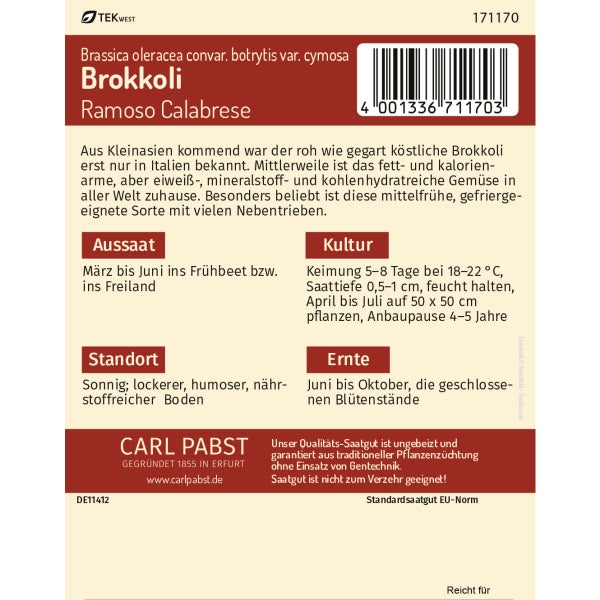 Brokkoli grün & vieltriebig Ramoso Calabrese Samen von Pabst Keimkraft