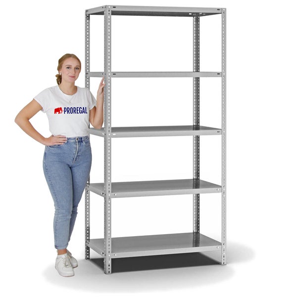 PROREGAL Fachbodenregal Schraubsystem Medium-Duty Grundregal HxBxT 200 x 100 x 50 cm 5 Ebenen Fachlast 200 kg Beidseitig Nutzbar Verzinkt