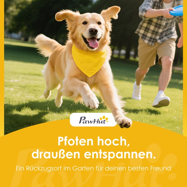 Golden Retriever mit gelbem Halstuch rennt auf einer Rasenfläche mit einer Person im Garten, PawHut Logo.