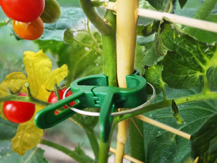GardenGloss 120 Pflanzenclips Pflanzenklammern für Tomaten, Rosen, Gurken und andere Rankpflanzen – Besonders einfache Rankhilfe für Pflanzen – Stabile Klammern für Kletterpflanzen Befestigung