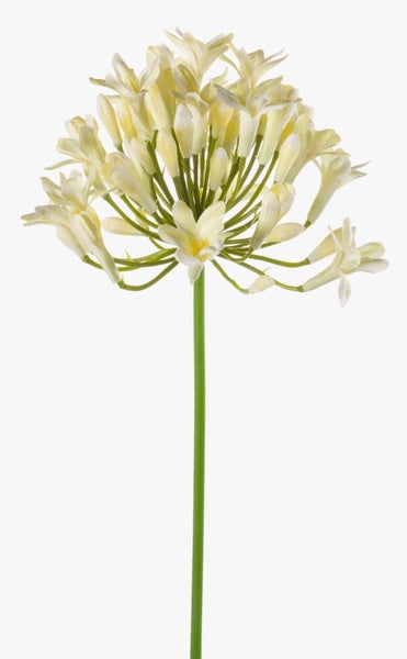 Künstliche Blume Agapanthus mit weißer Blütendolde an langem grünem Stiel.