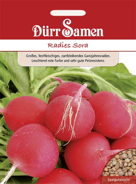Samenpackung Dürr Samen Radies Sora mit roten Radieschen, grünem Laub, Dürr Samen Logo und einer Ansicht der Radieschensamen.