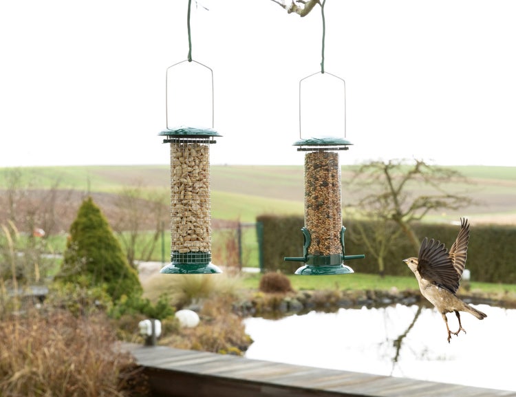 needs&wants® 2er Set: Vogelfutterspender zum Aufhängen Metall Edelstahl Kunststoff, Vogelfutterstation klein Futterstation Vögel Wildvögel