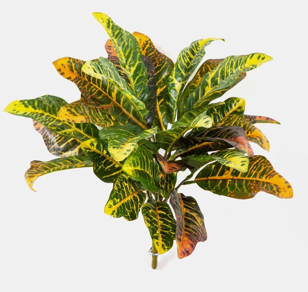 Künstlicher Croton-Busch mit bunt gemusterten Blättern in Grün, Gelb und Rot.