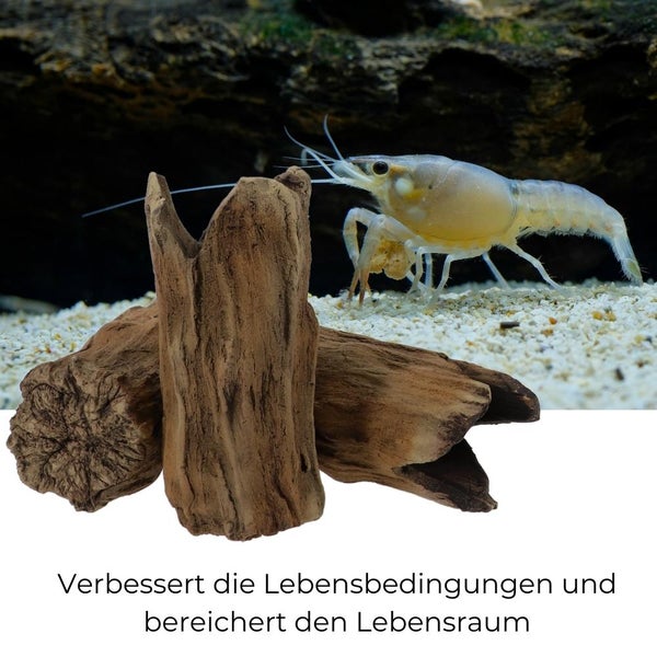 Aquarium Deko Baumstamm Höhle Röhre Aquariendeko Ablaichhöhle Fisch Krebs Wels Tonröhre Laichhöhle