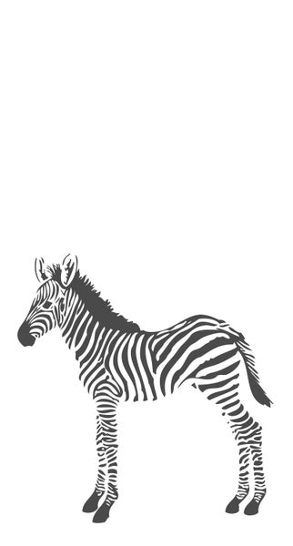 Illustration eines Zebras