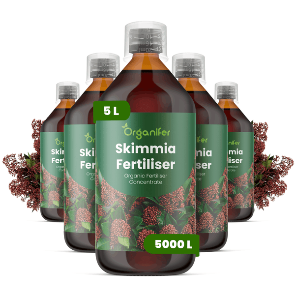 Fünf Flaschen Organifer Skimmia Dünger, organisches Flüssigdünger-Konzentrat, 5 Liter Packung für circa 5000 Liter Gießwasser.
