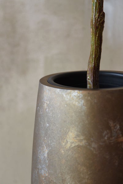 Detailaufnahme eines strukturierten Pflanzgefäßes in Bronzeoptik mit einem Pflanzenstamm.