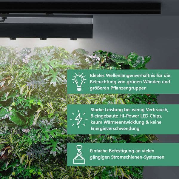 Raum mit Pflanzenwand und Pflanzenbeleuchtung für Zimmerpflanzen