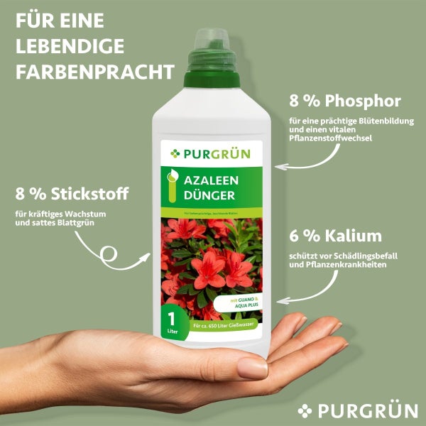Purgrün Azaleen-Dünger 1 Liter