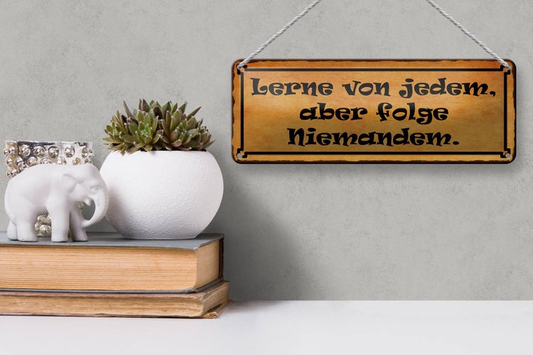 Blechschild Spruch 27x10cm lerne von jedem folge niemandem Dekoration