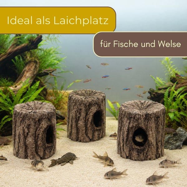 Drei Baumstamm-Höhlen als Dekoration im Aquarium mit Fischen und Sand, geeignet als Laichplatz für Welse und andere Fische.