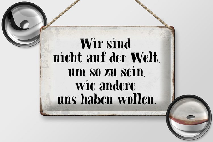 Blechschild Spruch 30x20cm sind nicht auf Welt wie andere