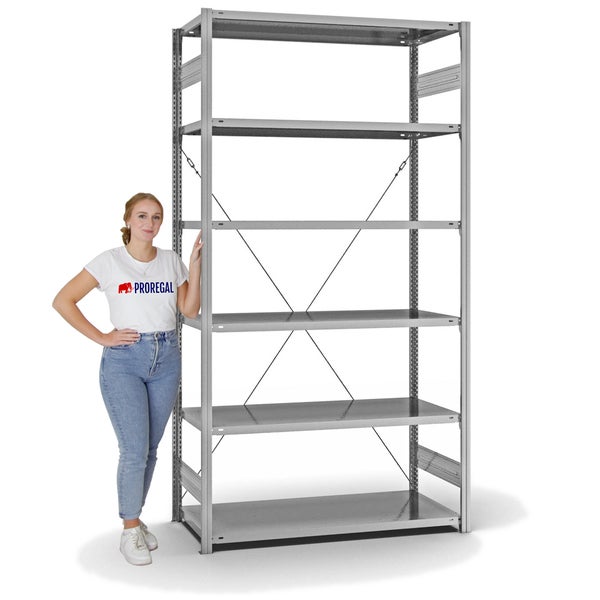 PROREGAL Fachbodenregal Stecksystem T-Profil Light-Duty Grundregal HxBxT 250 x 130 x 60 cm 6 Ebenen Fachlast 190 kg Einseitig Nutzbar Verzinkt